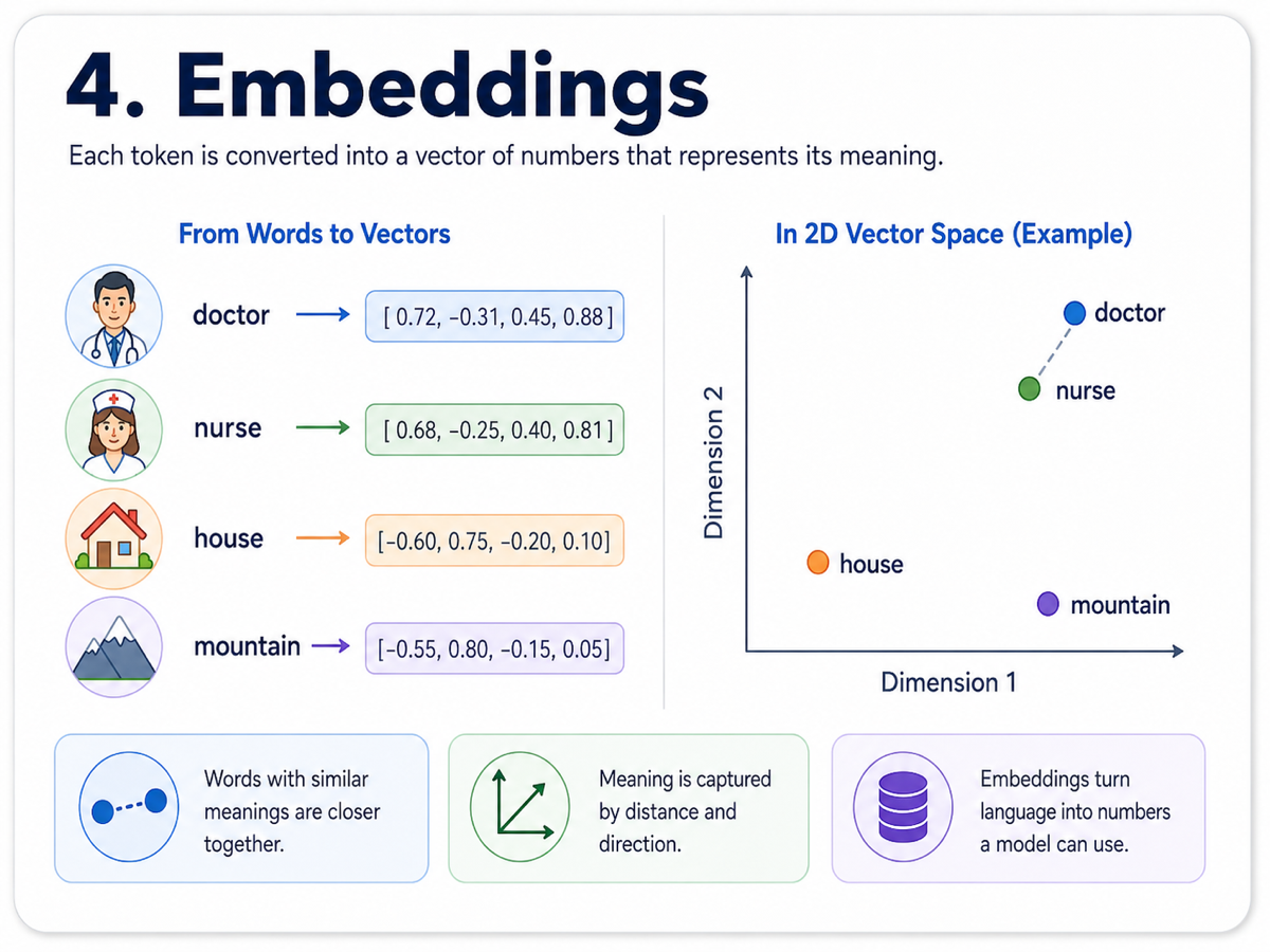 Infographic about Embeddings