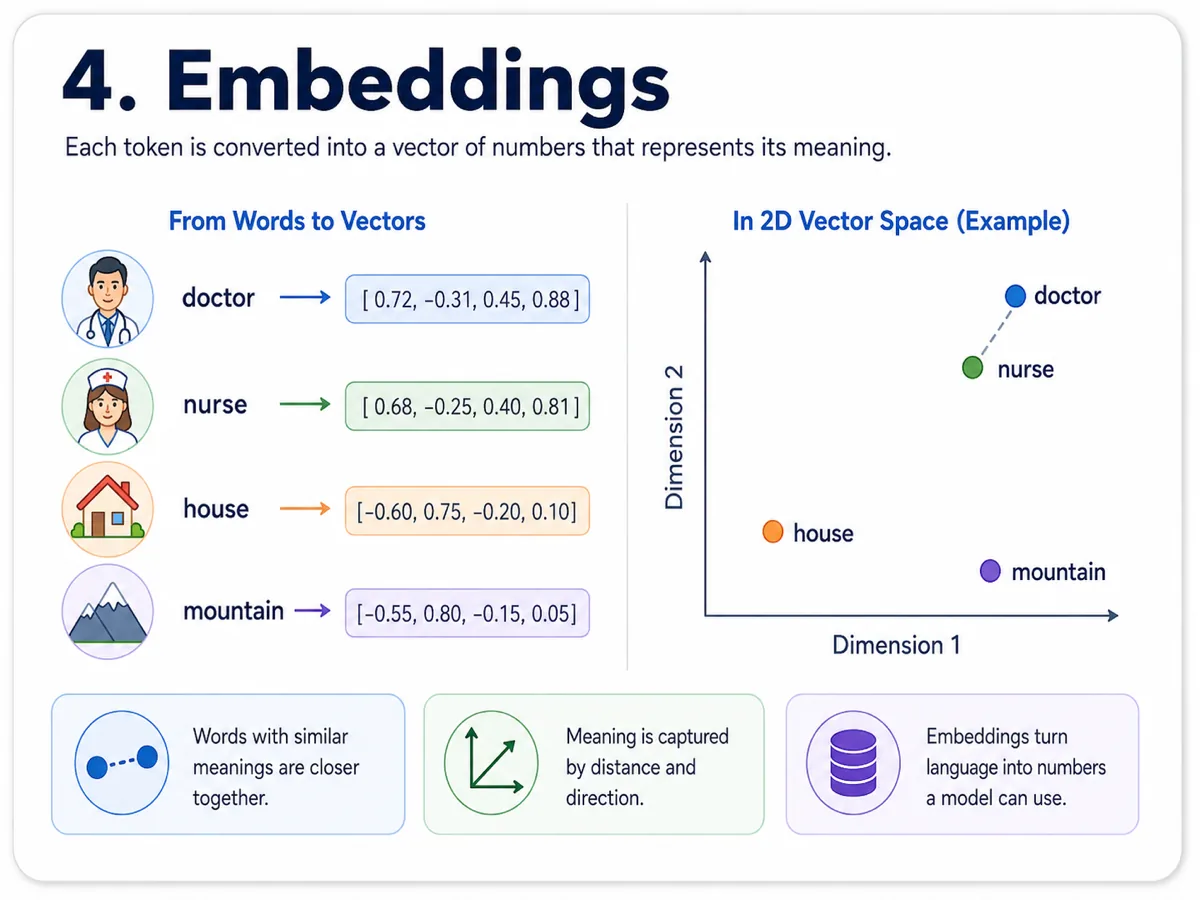 Infographic about Embeddings