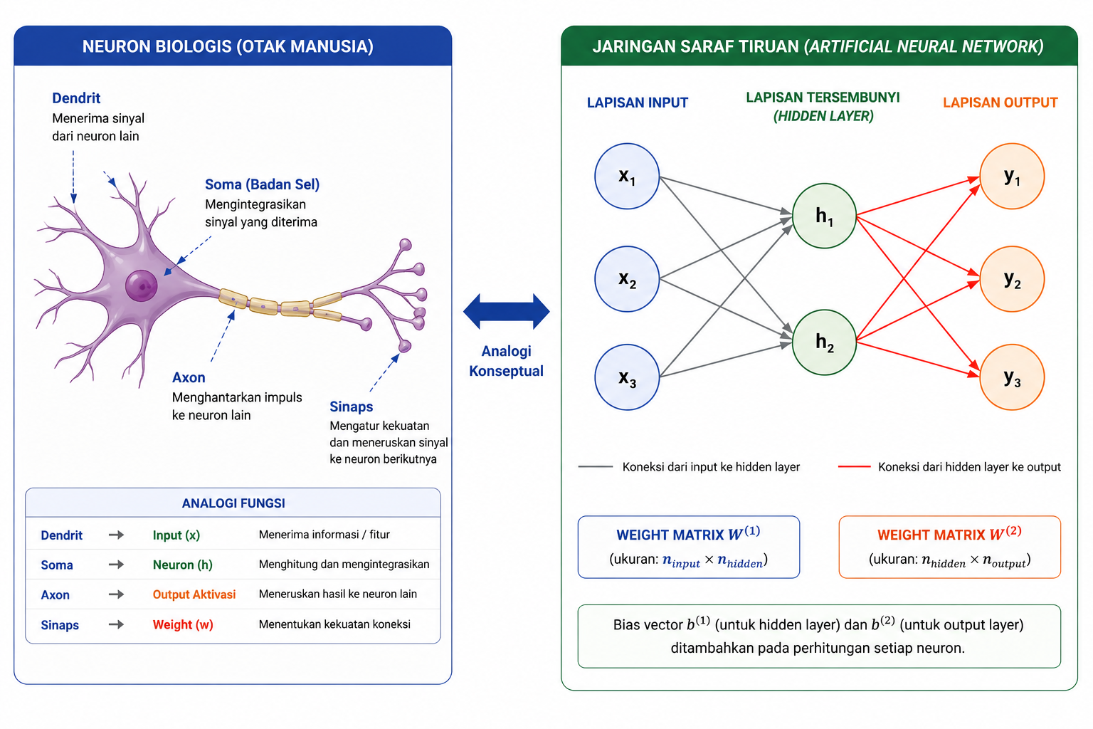 Analogi neuron biologis dan jaringan saraf tiruan