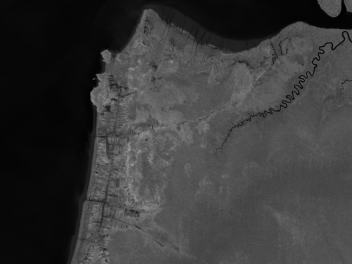 Citra satelit untuk pemetaan NDVI hutan