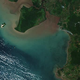 Citra satelit Kalimantan untuk pemetaan NDVI
